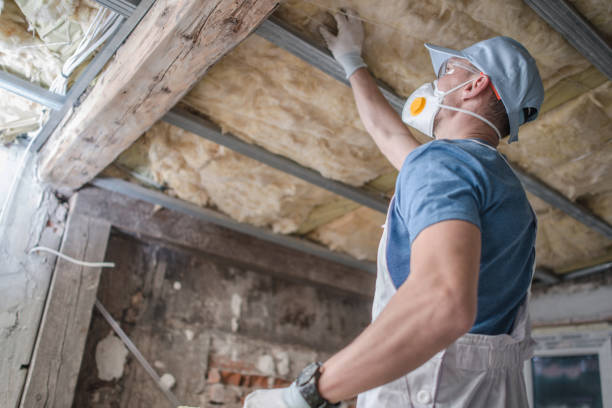 Best Commercial Insulation in Duncan, SC